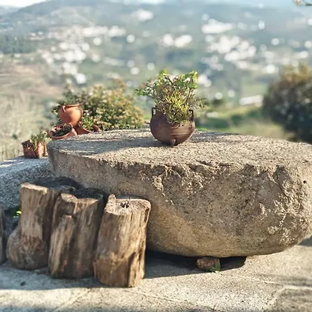 Douro E Tamega - Barroco Village Villa *